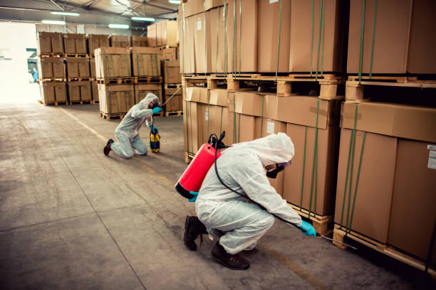 Best Ant Control Services  in Westville, NJ