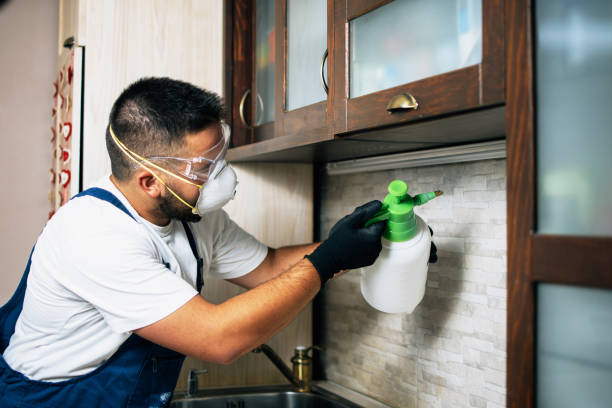 Pest Control for Restaurants in Westville, NJ