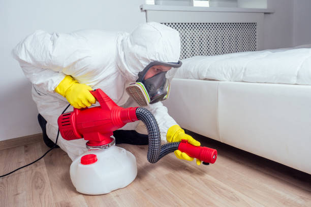 Best Local Pest Control Services  in Westville, NJ