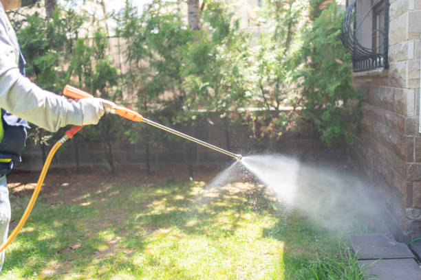 Best Flea Control Services  in Westville, NJ