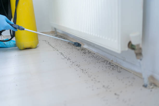 Pest Prevention Services in Westville, NJ